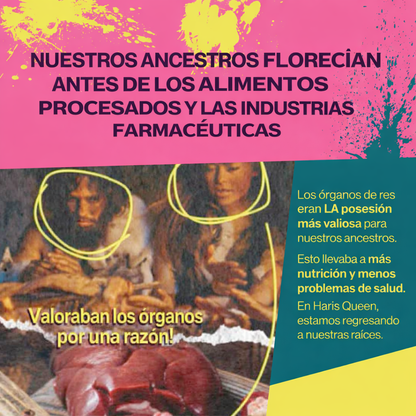 HARIS QUEEN™ – Equilibrio, energía y vitalidad