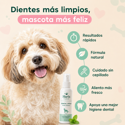 Hariscare™ – Cuidado Oral para Perros y Gatos